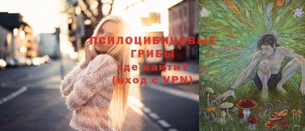 твердый Балахна