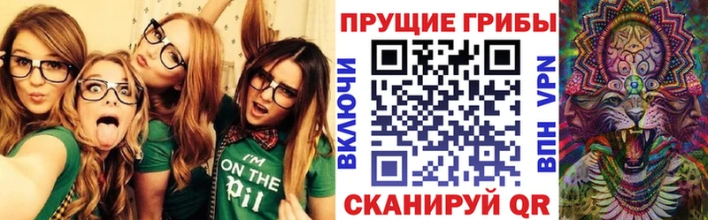 Псилоцибиновые грибы Psilocybe  наркошоп  Верхнеуральск 